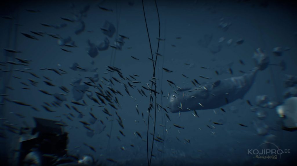 Une baleine nage la tête en bas.