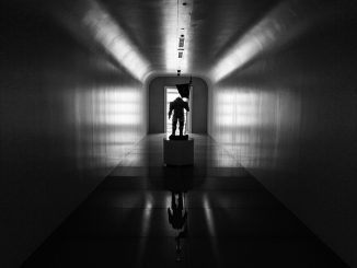 Ludens dans le couloir d'entrée de Kojima Productions, le 28 janvier 2017